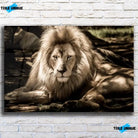Tableau Décoratif Lion de l'Atlas en verre acrylique, vue de face sur un mur de briques blanches