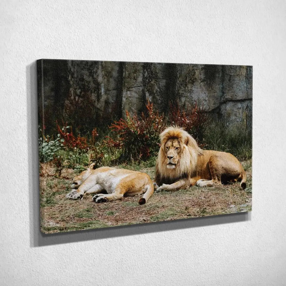 Tableau Décoratif Lions couchés sur toile, vue inclinée montrant l'épaisseur du châssis