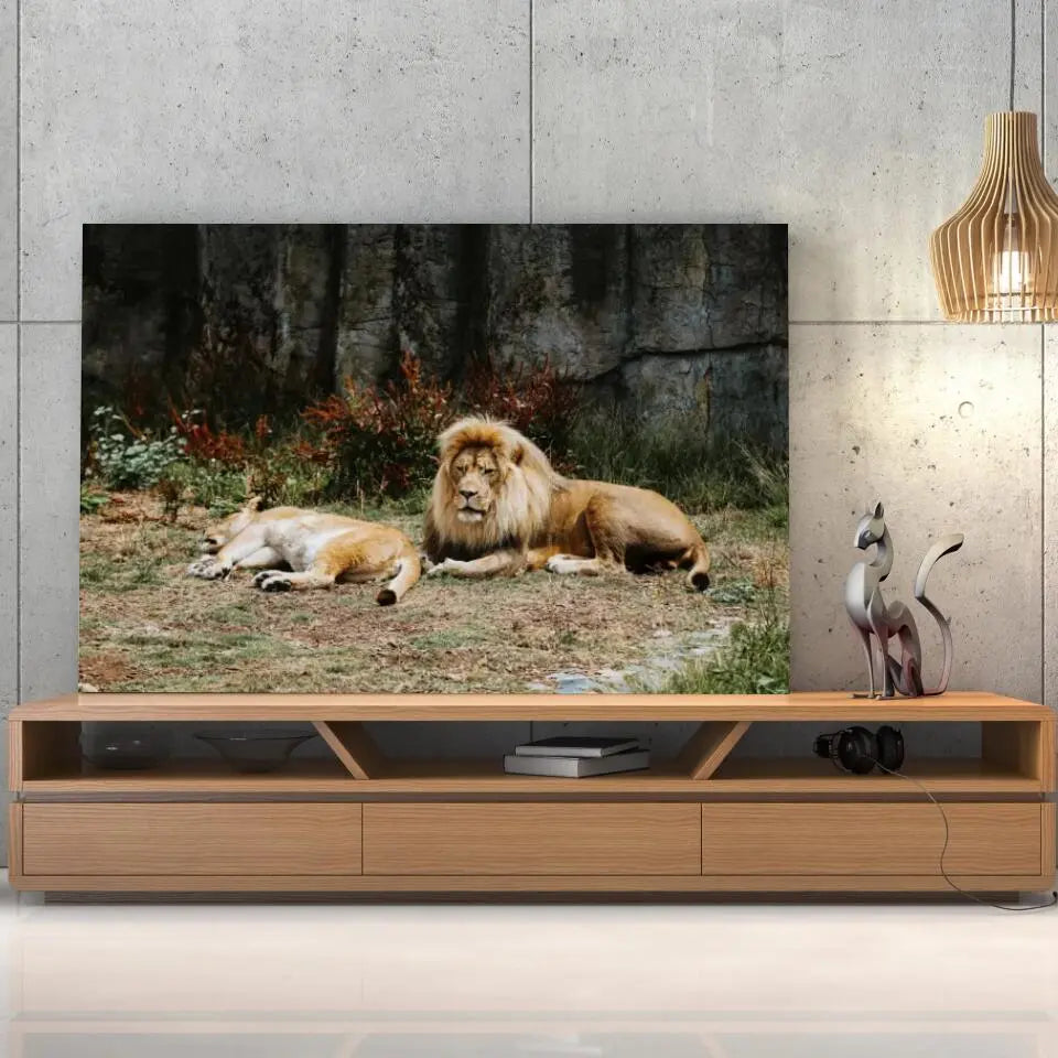 Tableau Décoratif Lions couchés sur toile, posée sur un meuble TV en bois devant un mur en béton