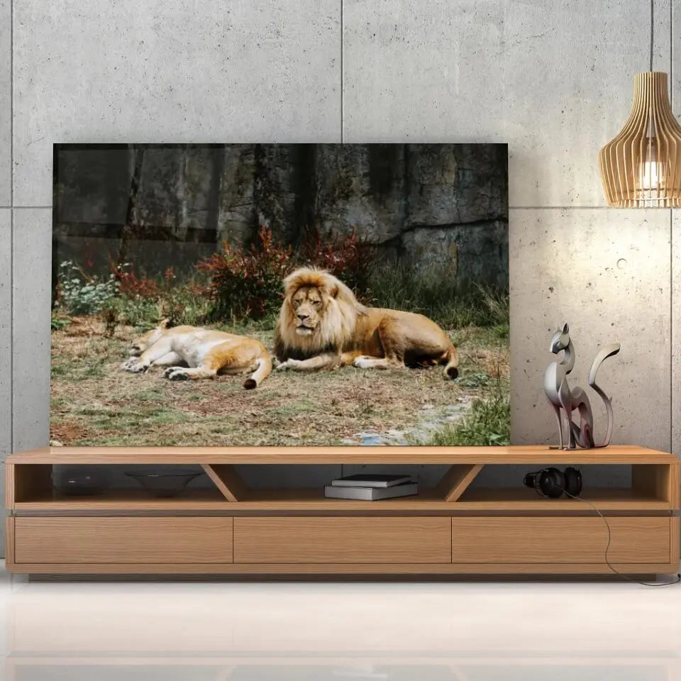 Tableau Décoratif Lions couchés en verre acrylique, posé sur un meuble TV en bois devant un mur en béton