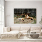 Tableau Décoratif Lions couchés en verre acrylique, accroché dans un salon lumineux au-dessus d'un canapé beige