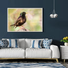 Tableau Décoratif Oiseau Étourneau Sansonnet en affiche encadrée dans un salon bleu nuit au-dessus d'un canapé blanc