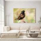 Tableau Décoratif Oiseau Étourneau Sansonnet sur toile, accrochée dans un salon lumineux au-dessus d'un canapé beige