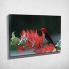 Tableau Décoratif Oiseau Myzomela sur toile, vue inclinée montrant l'épaisseur du châssis