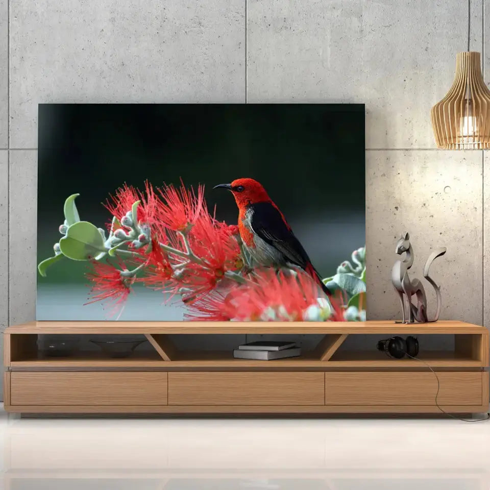 Tableau Décoratif Oiseau Myzomela sur toile, posée sur un meuble TV en bois devant un mur en béton