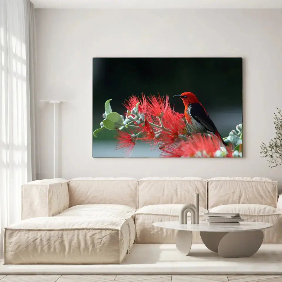 Tableau Décoratif Oiseau Myzomela sur toile, accrochée dans un salon lumineux au-dessus d'un canapé beige