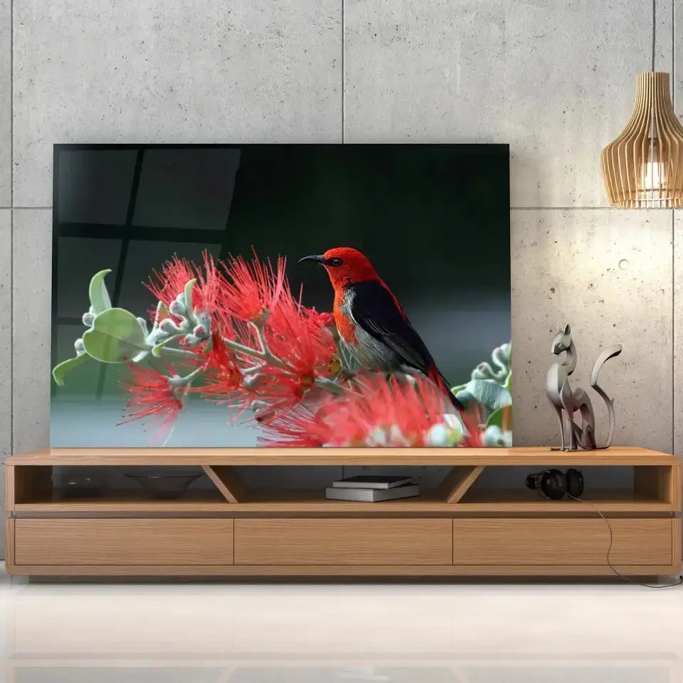 Tableau Décoratif Oiseau Myzomela en verre acrylique, posé sur un meuble TV en bois devant un mur en béton