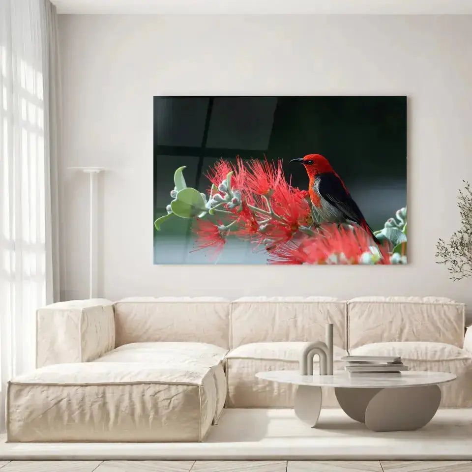 Tableau Décoratif Oiseau Myzomela en verre acrylique, accroché dans un salon lumineux au-dessus d'un canapé beige
