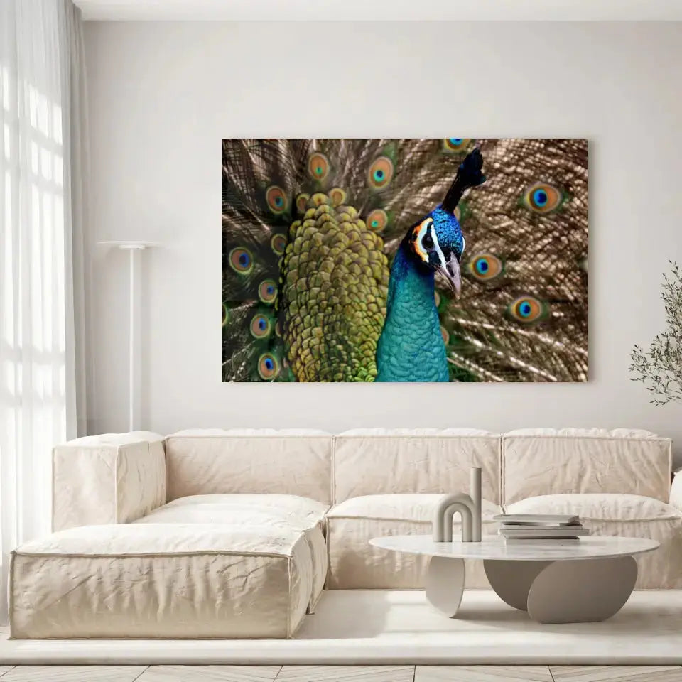 Tableau Décoratif Paon Vue de Face en verre acrylique, accroché dans un salon lumineux au-dessus d'un canapé beige