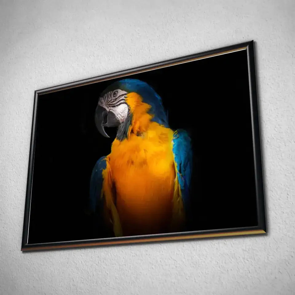 Tableau Décoratif Perroquet Tropical en affiche dans un cadre noir, vue inclinée sur un mur gris