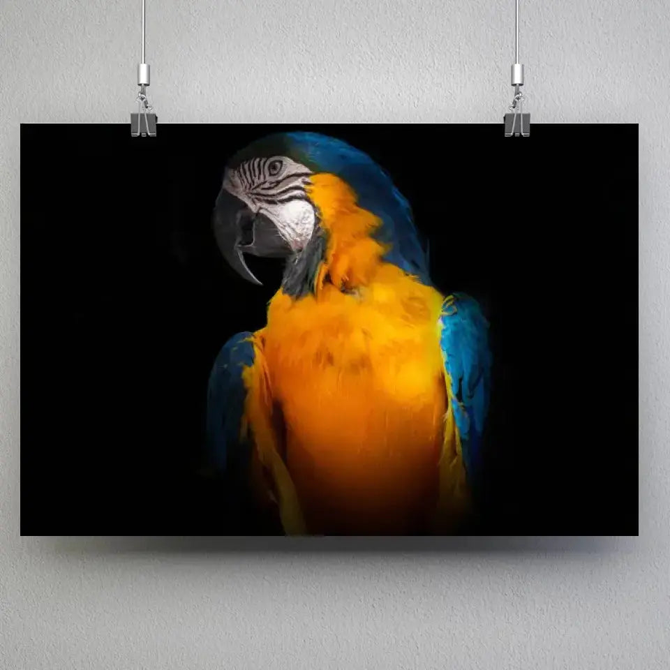 Tableau Décoratif Perroquet Tropical en affiche suspendue par des pinces sur un mur gris