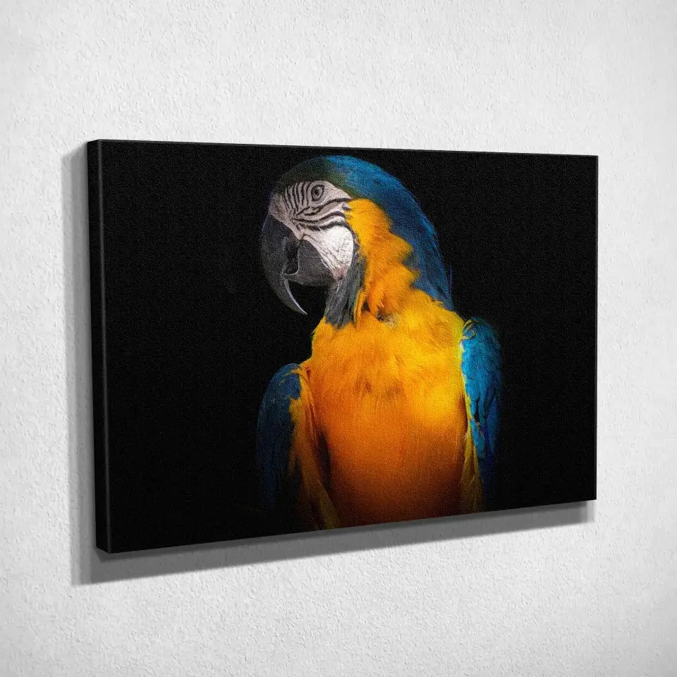 Tableau Décoratif Perroquet Tropical sur toile, vue inclinée montrant l'épaisseur du châssis