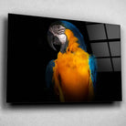 Tableau Décoratif Perroquet Tropical en verre acrylique, vue inclinée sur un mur gris clair