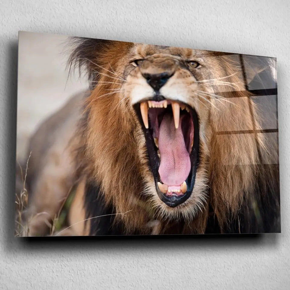 Tableau Décoratif Lion Rugissant en verre acrylique, vue inclinée sur un mur gris clair