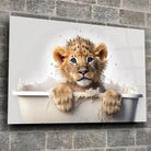 Tableau Lionceau dans la Baignoire en verre acrylique, fixé sur un mur de pierre